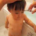 KNSL家族 (12)