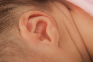 赤ちゃん耳