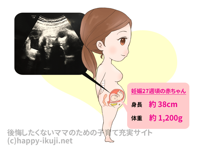 【妊娠７か月をイラストで解説!】腰痛や頭痛が頻発しやすい妊娠７か月!子宮の成長とマイナートラブル