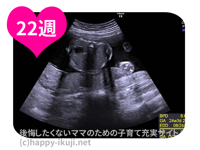 妊娠22週(22w)は胎動が活発に!気を付けたい切迫流産の兆候と早産の違い