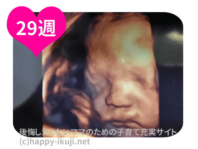 妊娠29週(29w)の胎児の体重!大きい?小さい?50人の胎動と激しさ